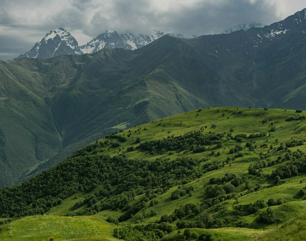 <a href="/осетия" target="_self"><span style="font-weight: bold;">
Э<span style="font-style: italic;">кскурсия</span></span><span style="font-weight: bold; font-style: italic;"> по Северной Осетии
</span></a>